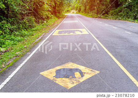 Beware of the elephant warning sign on the road 23078210