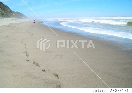 砂浜を行く 23078571