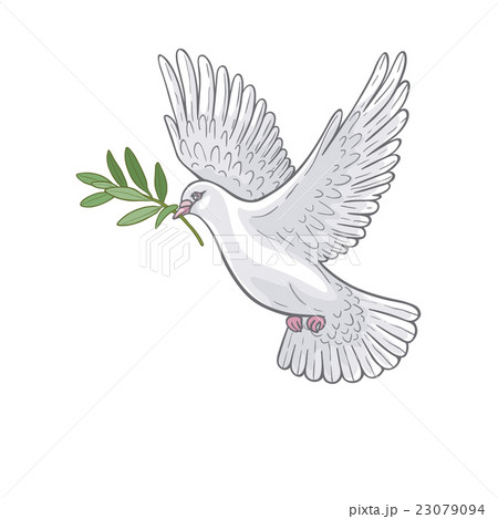 White Dove with olive branch White Dove with olive branch 23079094