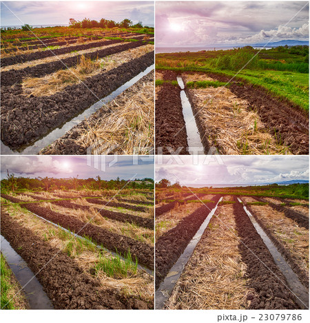 Set Rice Terraces. 23079786