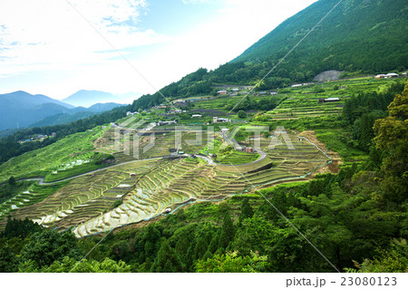 丸山千枚田 23080123