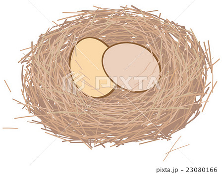 鳥の巣のイラスト素材