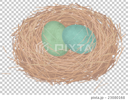 鳥の巣 鳥の巣 23080168