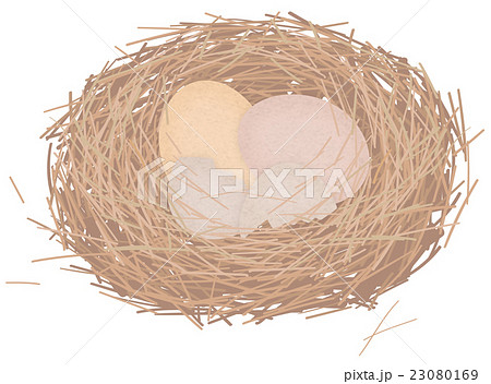 鳥の巣のイラスト素材
