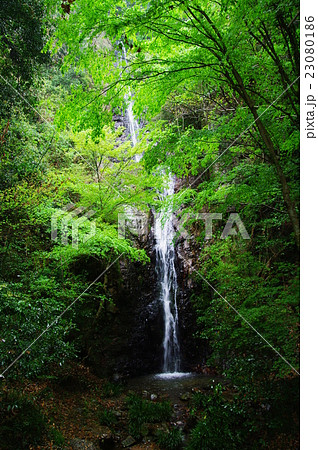 五宝滝 五宝滝 23080186