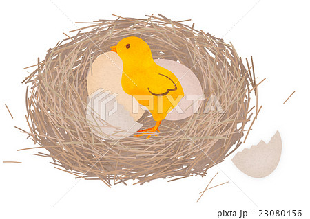 鳥の巣とひなのイラスト素材