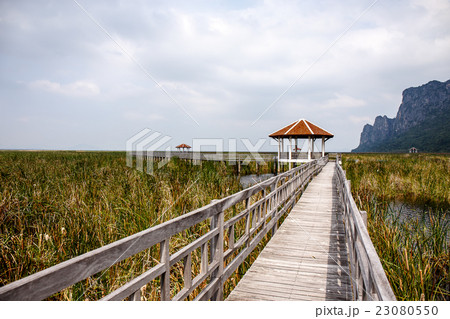 Khao Sam Roi Yod National Park, Thailand. 23080550