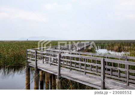 Khao Sam Roi Yod National Park, Thailand. 23080552