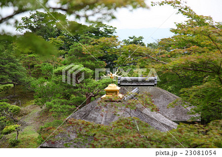 修学院離宮 千歳橋 鳳凰 修学院離宮 千歳橋 鳳凰 23081054