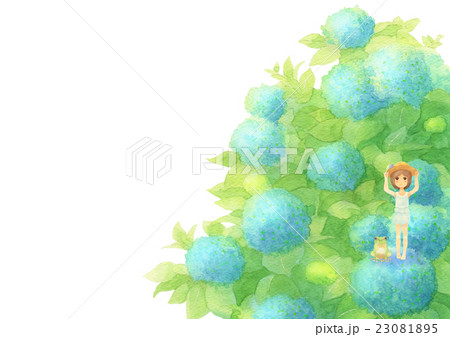 あじさいとゲスト横（晴れブルー） 23081895