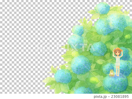 あじさいとゲスト横（晴れブルー） 23081895