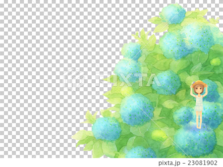 繡球花和女孩側身（晴朗的藍色） 23081902
