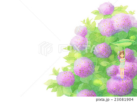 あじさいと女の子ヨコ（雨ピンク） 23081904