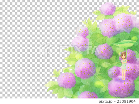 あじさいと女の子ヨコ（雨ピンク） 23081904