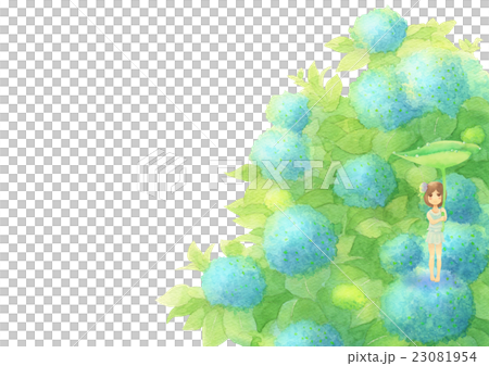 繡球花和女孩（雨藍） 23081954