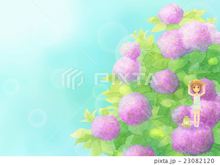 あじさいとゲスト横（晴れピンク） 23082120