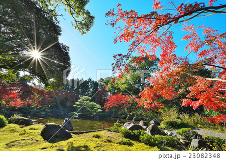 錦秋の城南宮 23082348