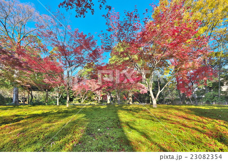 錦秋の城南宮 23082354