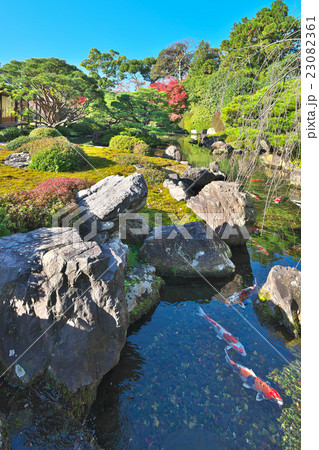 錦秋の城南宮 23082361