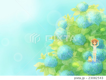 あじさいとゲスト横（晴れブルー） 23082543