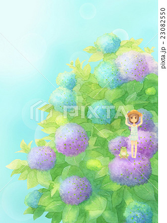 あじさいとゲスト縦(晴れミックス) あじさいとゲスト縦(晴れミックス) 23082550