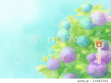 あじさいと女の子ヨコ（晴れミックス） 23082585