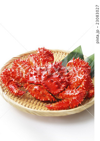 花咲蟹 花咲蟹 23083027