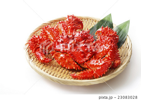 花咲蟹 花咲蟹 23083028