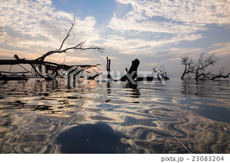 Sunrise by the beach George Town, Penang Malaysia 23083204