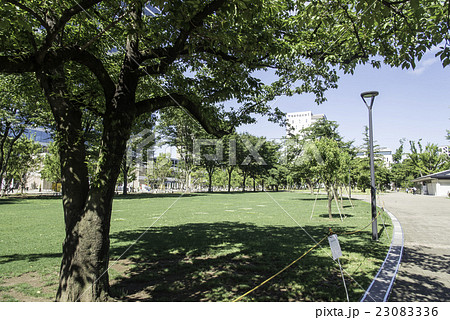 中野四季の森公園 中野四季の森公園 23083336