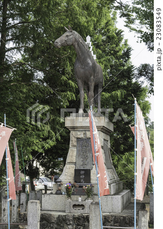 妙安寺 妙安寺 23083549