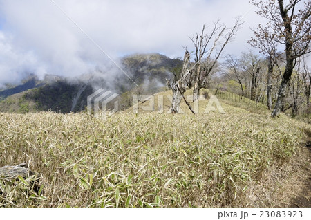 晴れ行く尾根道 晴れ行く尾根道 23083923