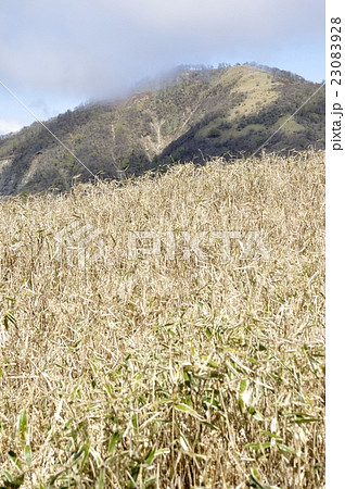丹沢主脈のカヤトと晴れ行く不動ノ峰 丹沢主脈のカヤトと晴れ行く不動ノ峰 23083928