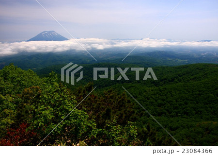 初夏の昆布岳から見る残雪の羊蹄山 初夏の昆布岳から見る残雪の羊蹄山 23084366