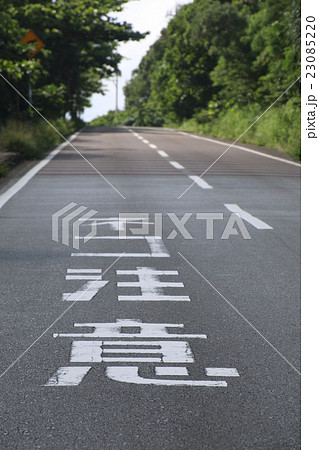 西表島・ネコ注意の道路標示 西表島・ネコ注意の道路標示 23085220