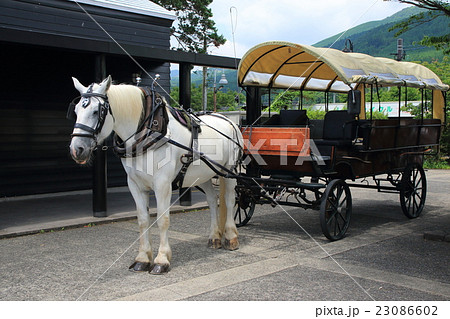 辻馬車（由布院駅・由布市湯布院町） 23086602