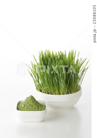 ウィートグラス　イメージ 23088105