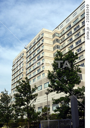 がん研究会 有明病院 23088349