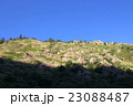 キルギスの岩山 23088487