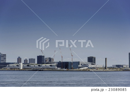 豊洲市場 23089085