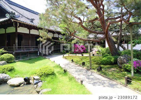 京都　初夏の青蓮院門跡 23089172