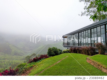 View of tea shop and tea plantations with fog View of tea shop and tea plantations with fog 23089462