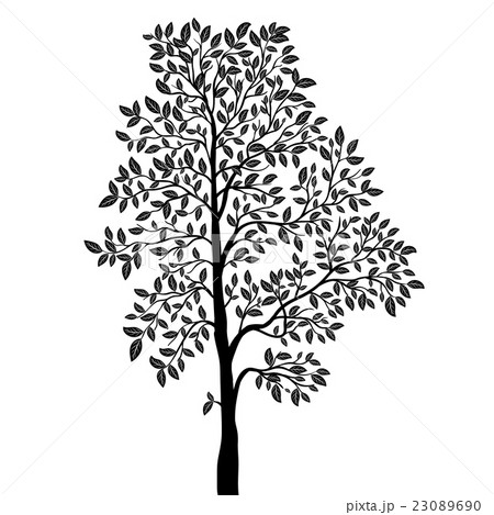 Tree with leaves silhouette Tree with leaves silhouette 23089690