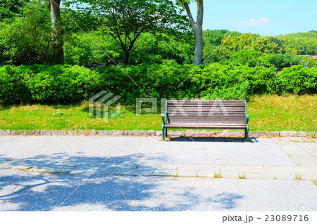 公園のベンチ 公園のベンチ 23089716