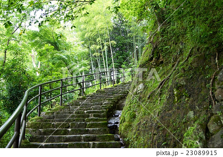 長谷寺の階段 長谷寺の階段 23089915