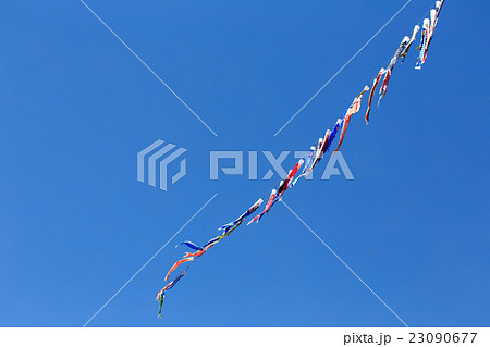 空を泳ぐ鯉のぼり 23090677