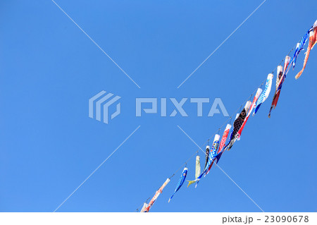 空を泳ぐ鯉のぼり 23090678