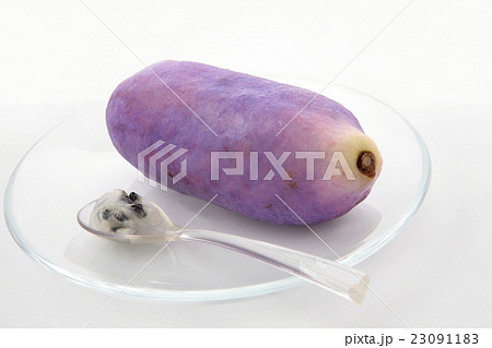 アケビ秋の味覚 23091183