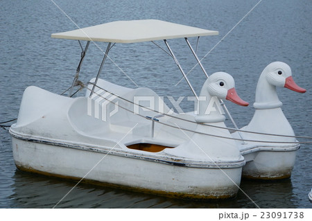 Swan Boat（白鳥ボート） 23091738