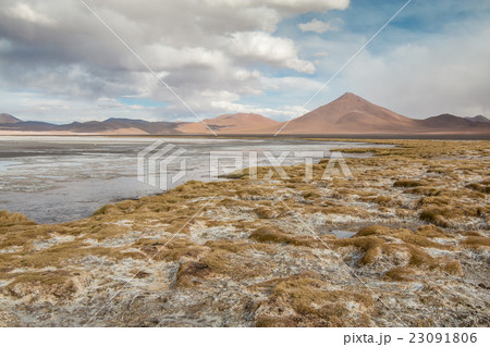 Lago Colorado in Bolivia 23091806
